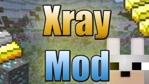 XRAY Mod [1.8]